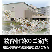 教育相談