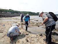大戸瀬海岸裏海食台