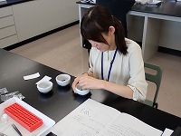 光合成色素の分離